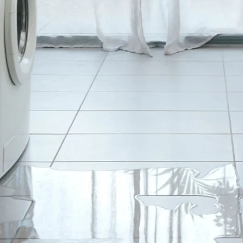 Appliance Leak Cleanup in Randolph County, GA