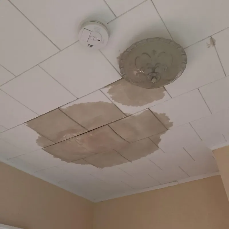 Ceiling Water Damage Repair in Randolph County, GA