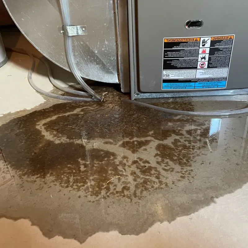 Pipe Burst and Leak Restoration in Randolph County, GA