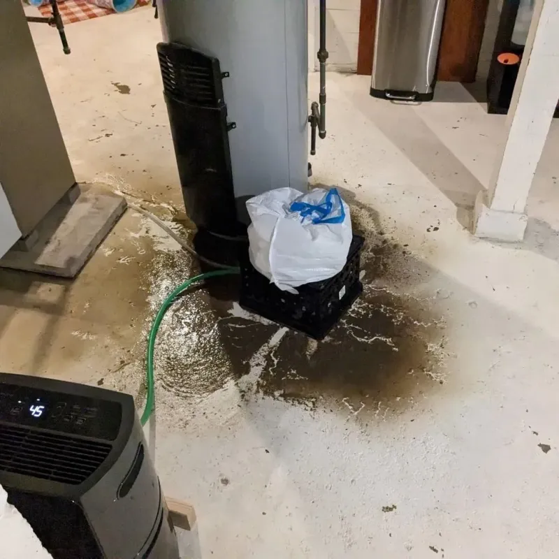 Sewage Backup Cleanup Service in Randolph County, GA